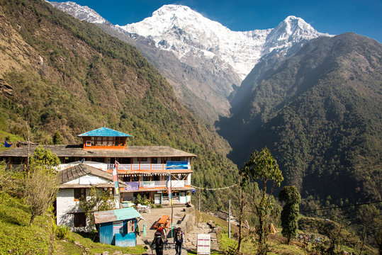 se-joindre-a-un-groupe-chomrong-nepal-13jours